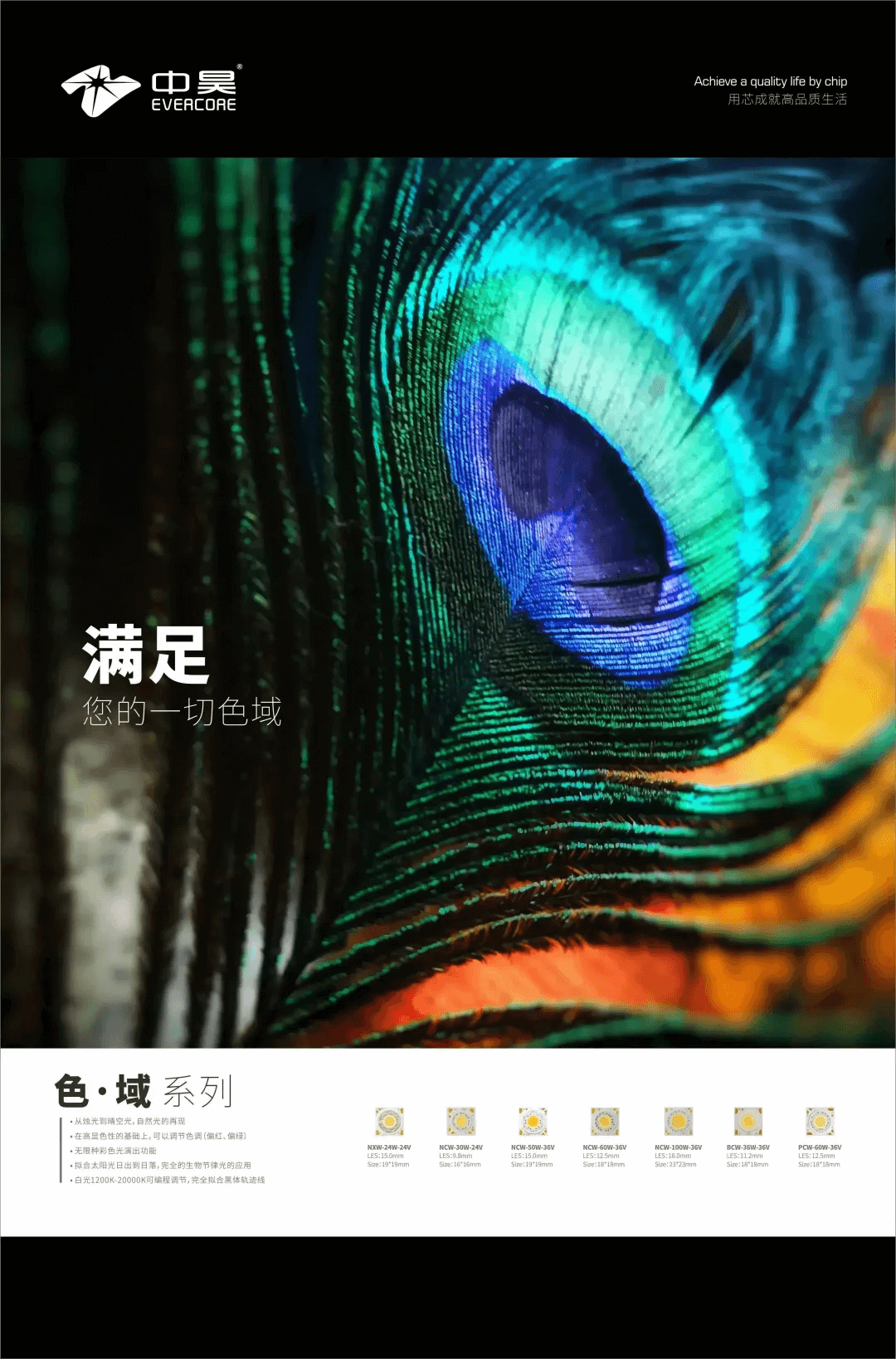Review of Light Asia Exhibition | Exploring the mystery of light to create the value of light