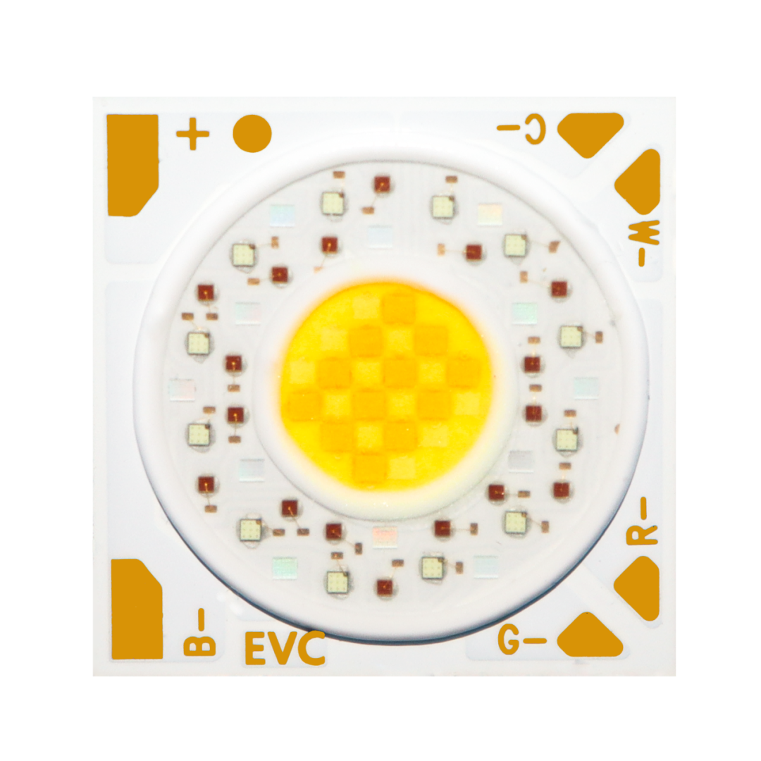 Introdução Evercore