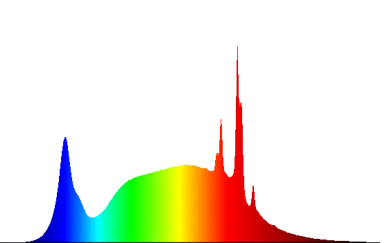 Introdução Evercore