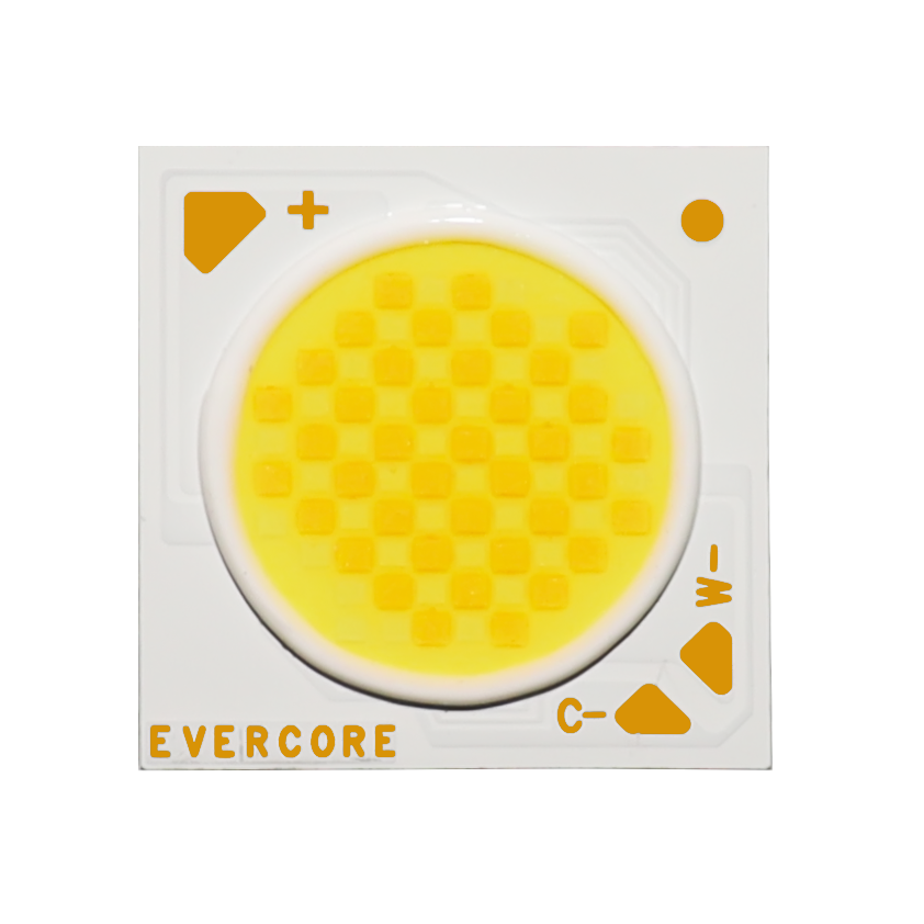 Introdução Evercore