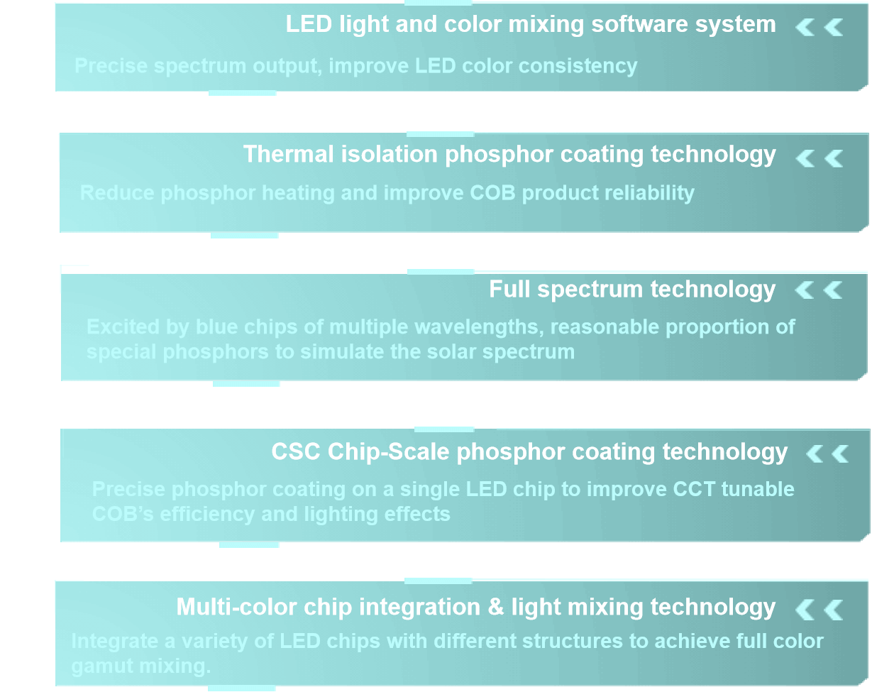 Introdução Evercore
