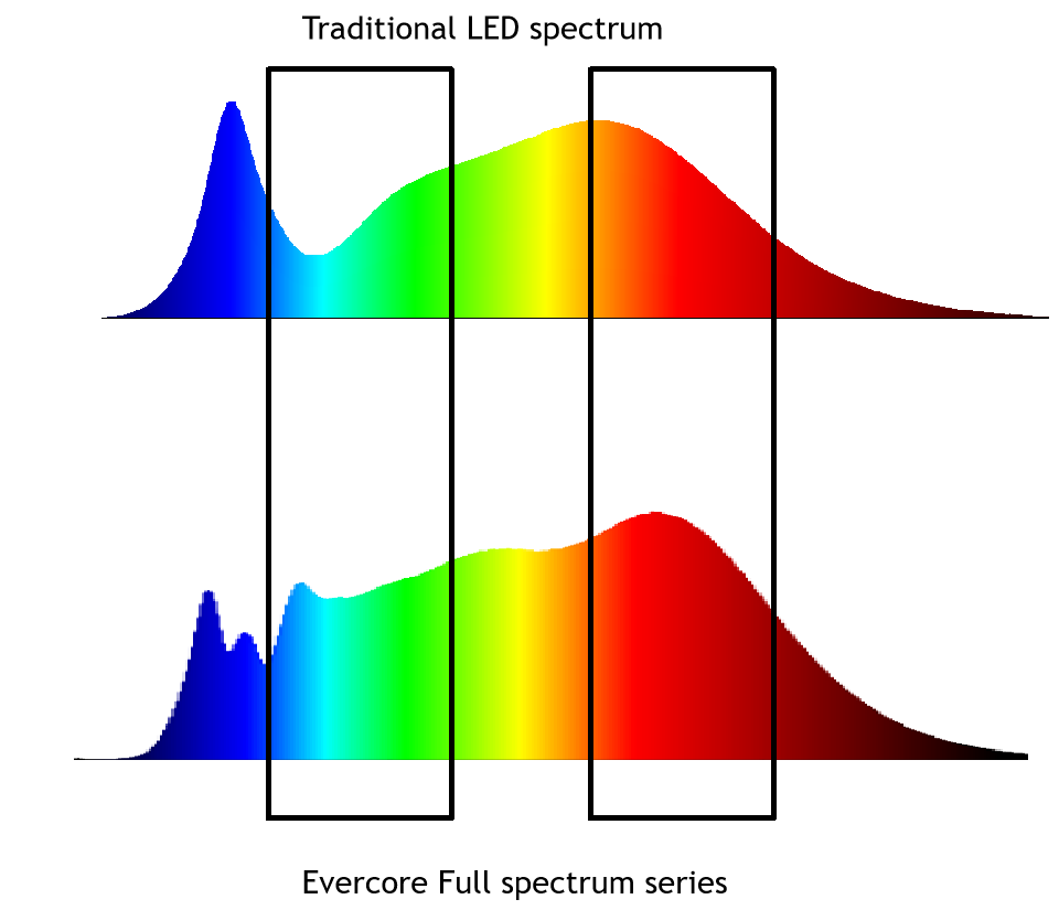 Introdução Evercore